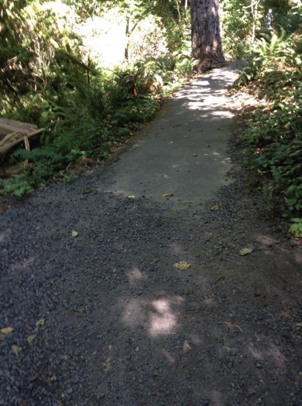 Paved trail transitioning to natural surface